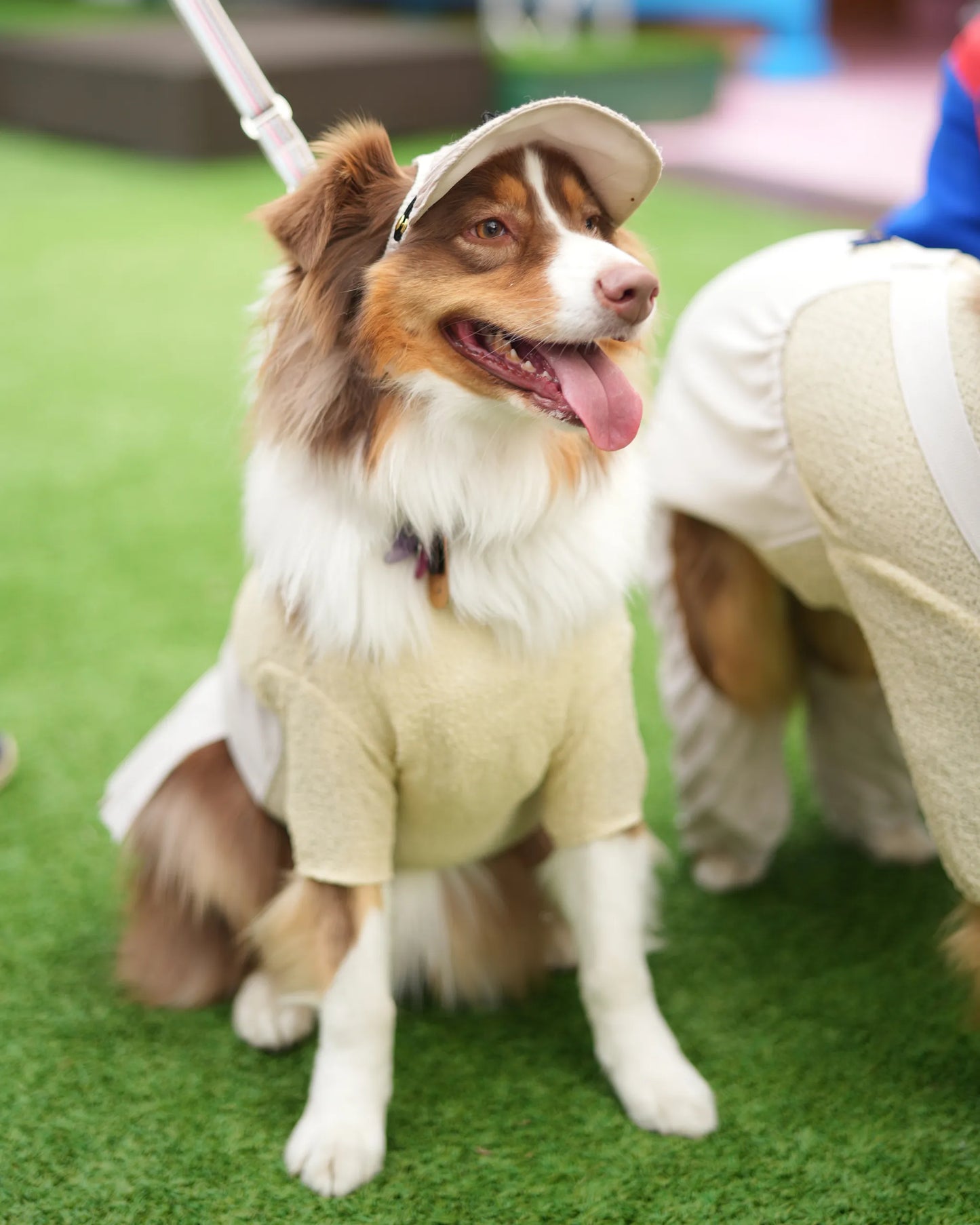 DOG WEAR - プリーツサロペットスカート