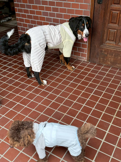 DOG WEAR - プリーツサロペットパンツ