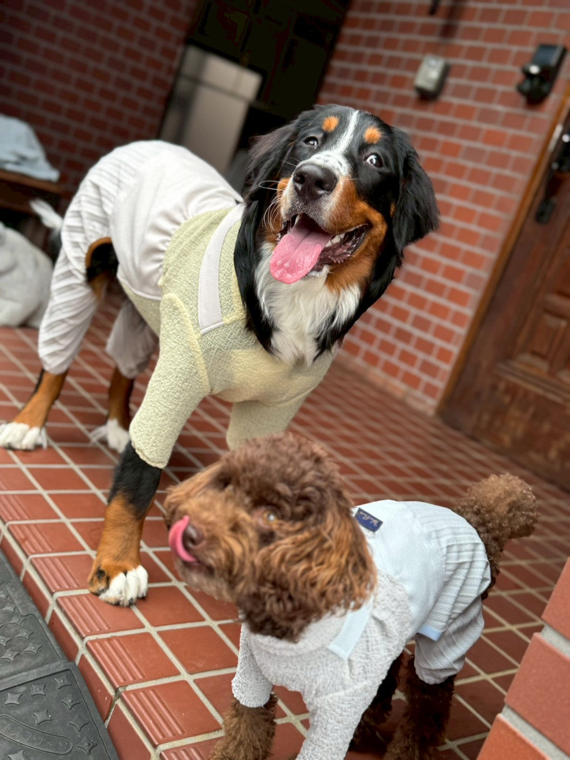 Wan!Pleats プリーツサロペットパンツ