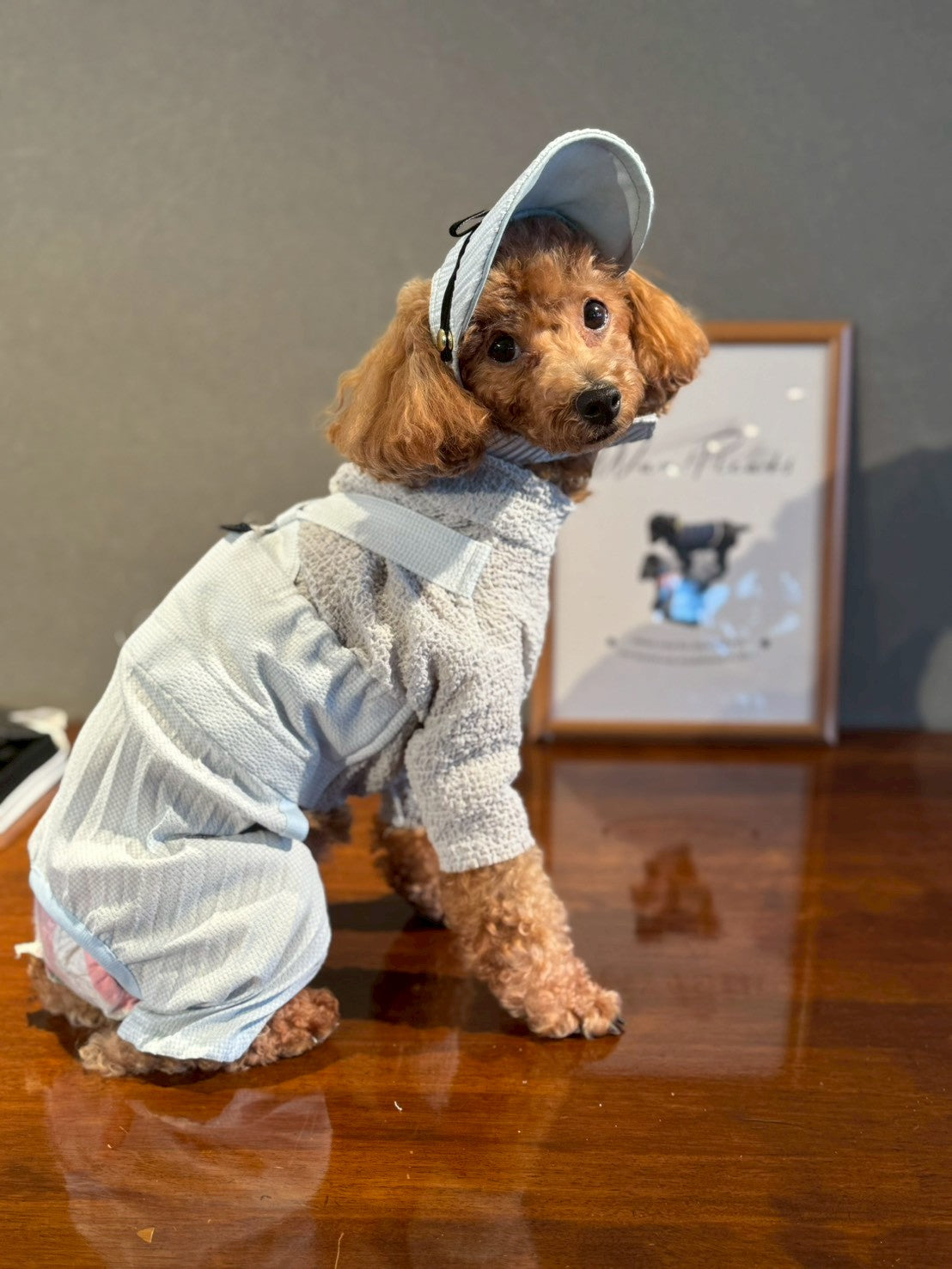 Wan!Pleats プリーツサロペットパンツ