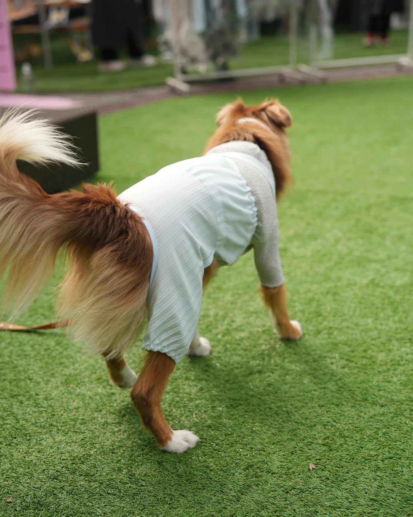 DOG WEAR - プリーツサロペットパンツ