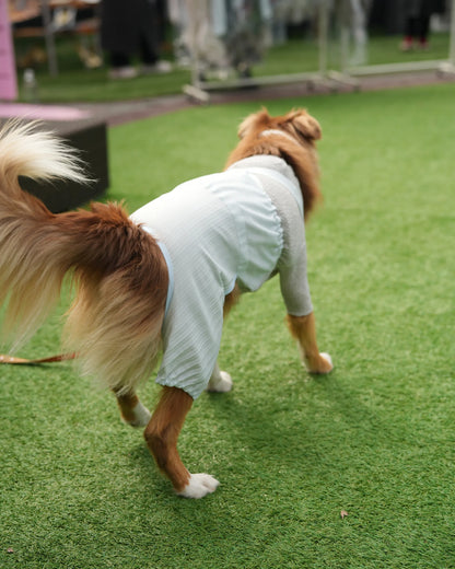 DOG WEAR - プリーツサロペットパンツ