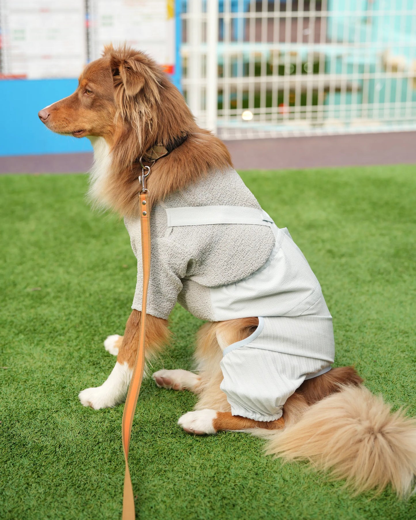 DOG WEAR - プリーツサロペットパンツ