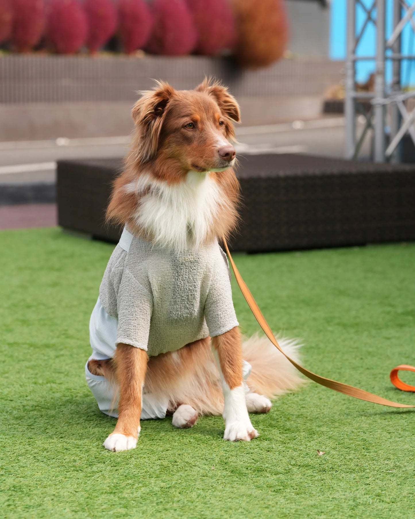 DOG WEAR - プリーツサロペットパンツ