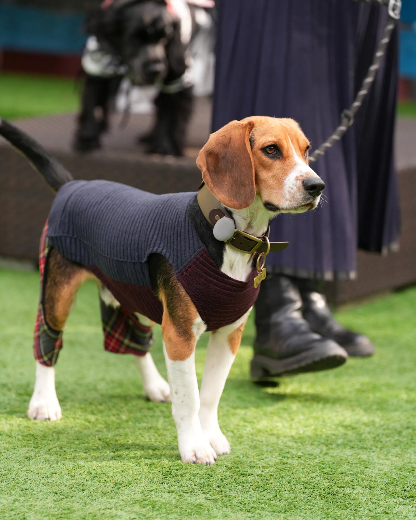 DOG WEAR - モフモフプリーツタンクトップ