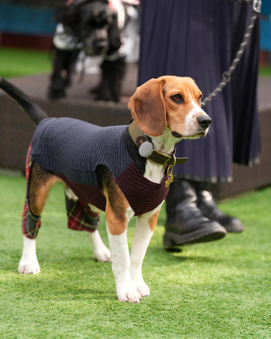 DOG WEAR - モフモフプリーツタンクトップ