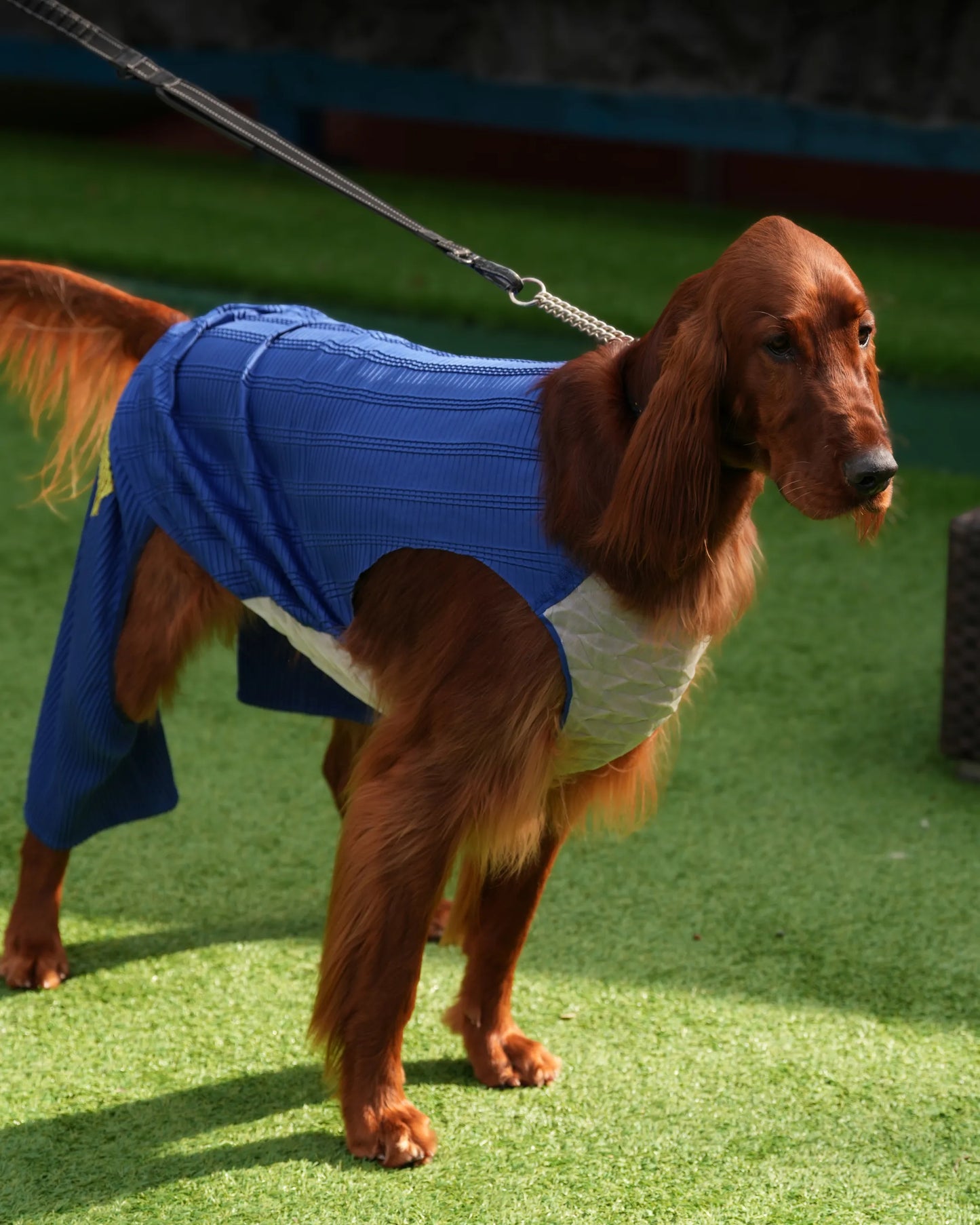 wanpleats(ワンプリーツ) 犬服 dogwear ドッグウェア トップス バンブープリーツ 大型犬