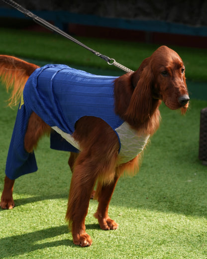 wanpleats(ワンプリーツ) 犬服 dogwear ドッグウェア トップス バンブープリーツ 大型犬