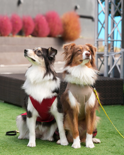 DOG WEAR - リネン風プリーツタンクトップ