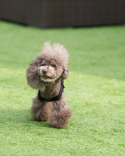 DOG WEAR - リネン風プリーツタンクトップ