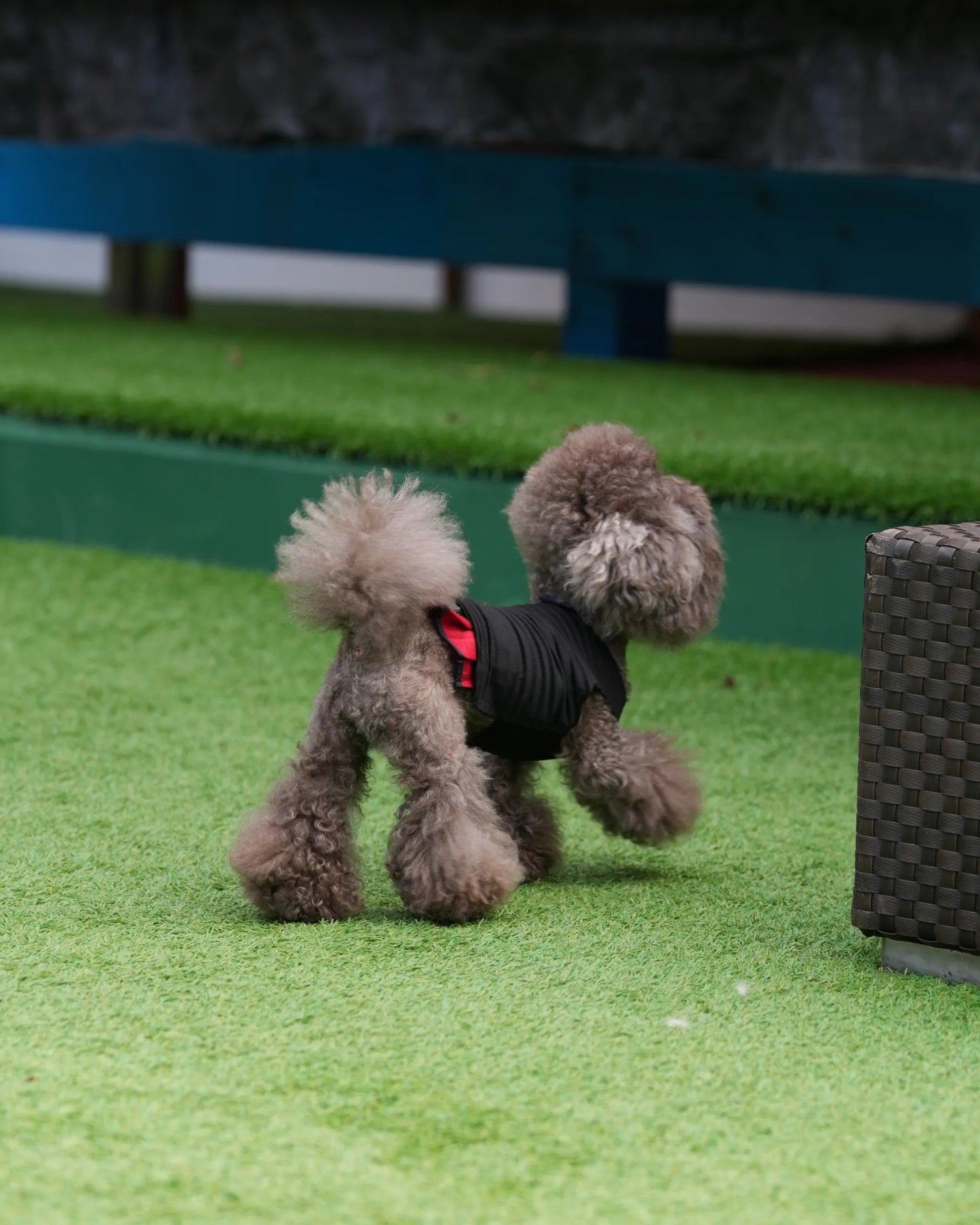 DOG WEAR - リネン風プリーツタンクトップ