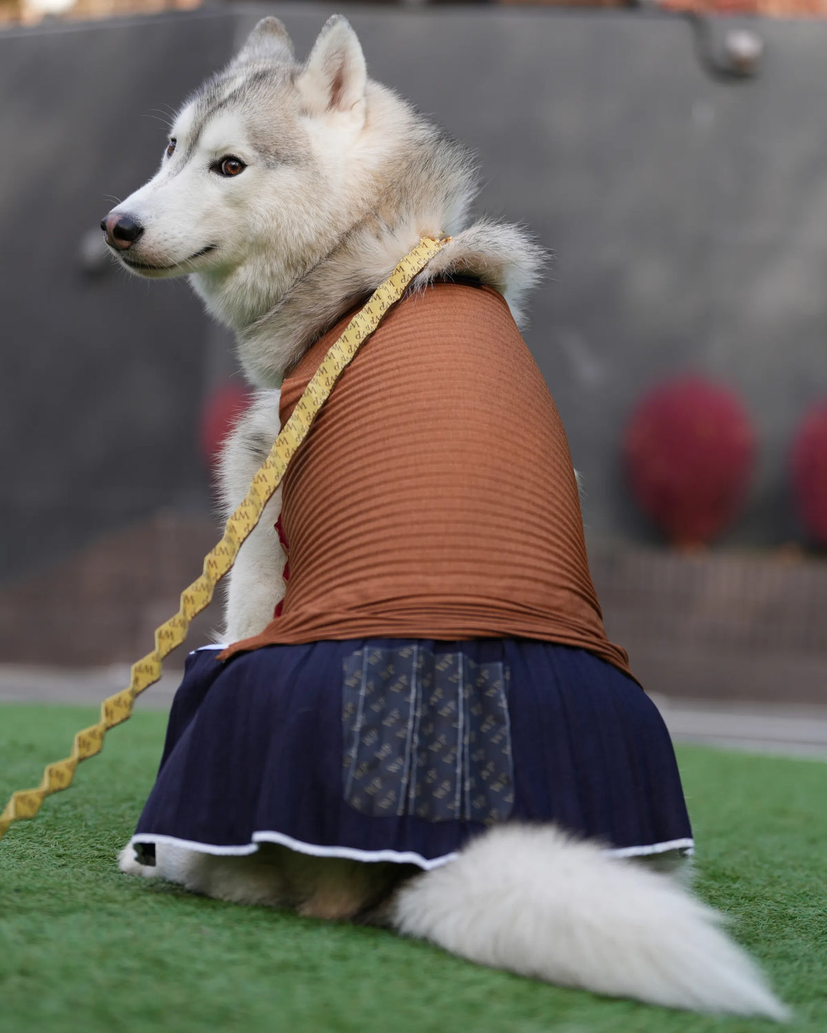 犬服 ドッグウェア リネン風ポケット付き着せ替えプリーツスカート dog 犬服 ドッグウェア リネン風ポケット付き着せ替えプリーツスカート dog