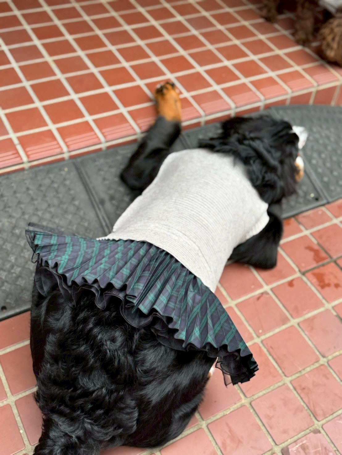 DOG WEAR - プリーツonプリーツチュチュスカート