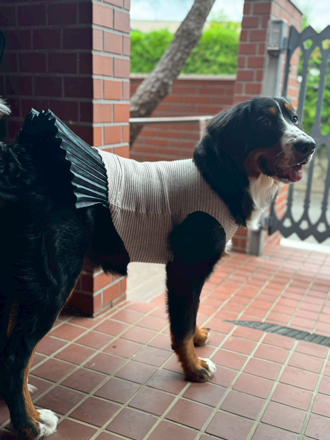 DOG WEAR - シャギーニットプリーツタンクトップ