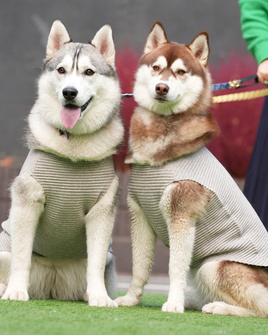 DOG WEAR - シャギーニットプリーツタンクトップ