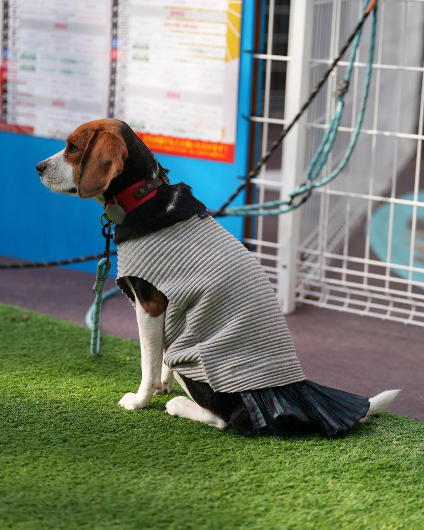 DOG WEAR - シャギーニットプリーツタンクトップ