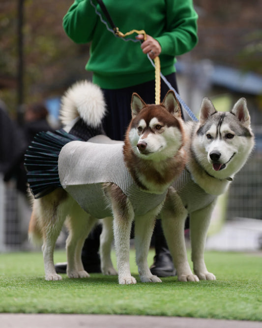 DOG WEAR - プリーツonプリーツチュチュスカート