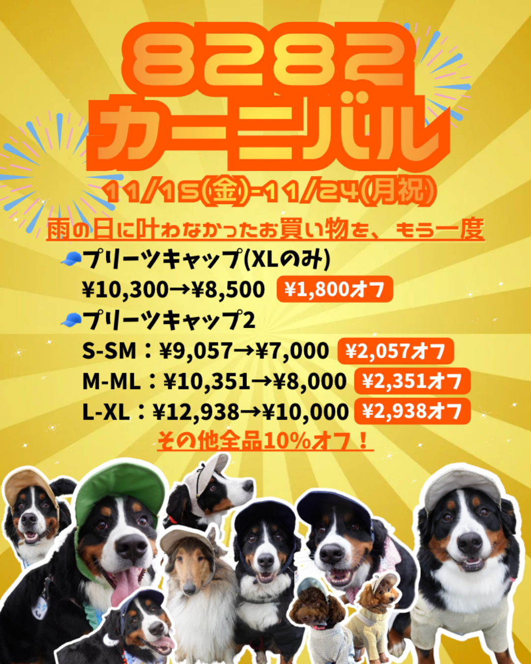 DOG WEAR - プリーツキャップ2