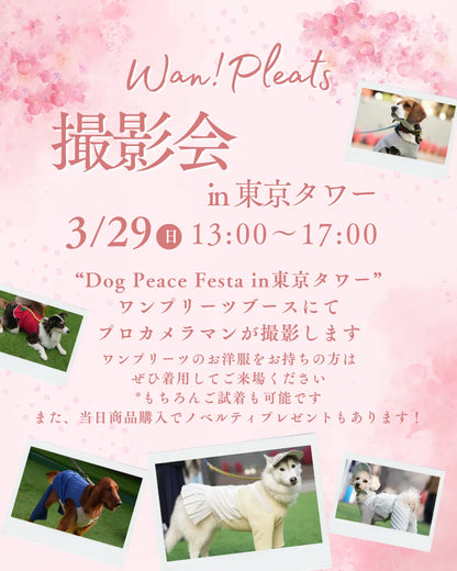 【応募券】2026/3/29 撮影会＠Dog Peace Festa in 東京タワー
