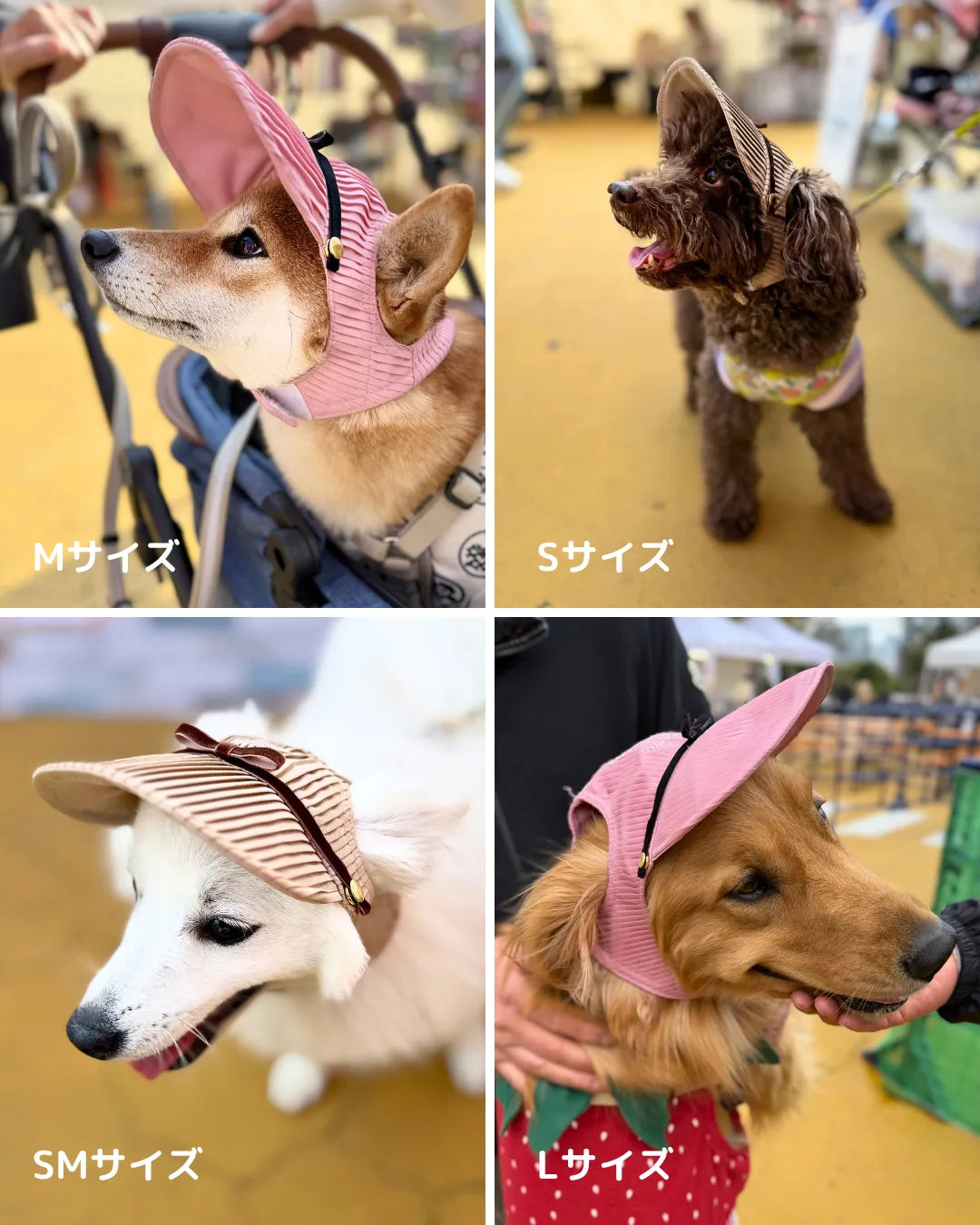 Wan!Pleatsのわんちゃん用のキャップ。ベージュは特に上品な印象になります。ピンクをかぶれば主役間違いなし！