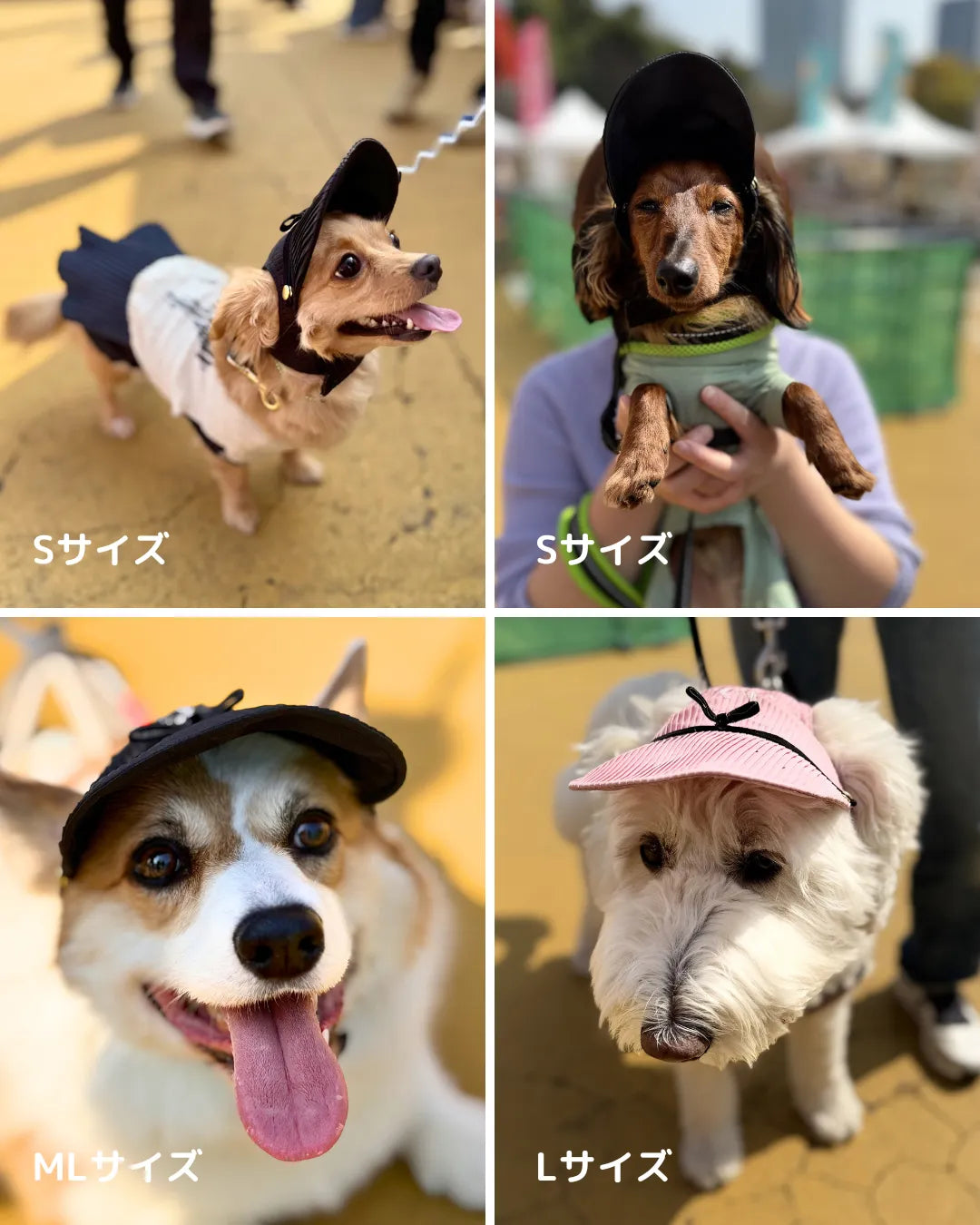 Wan!Pleatsのプリーツキャップは単品はもちろんお洋服とコーディネートでぐっとおしゃれに。愛犬とのお出かけやオフ会にぴったりです