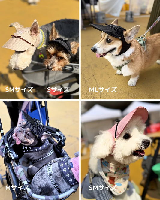 New Release｜Wan!Pleats 超小型犬〜超大型犬まで対応の犬服/ドッグ