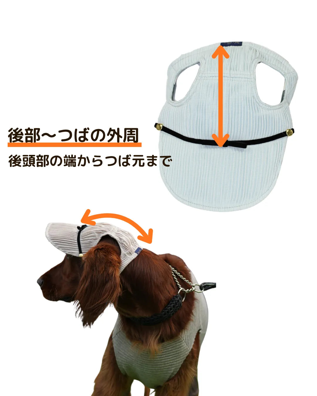 DOG WEAR - プリーツキャップ3 ロゴ入り