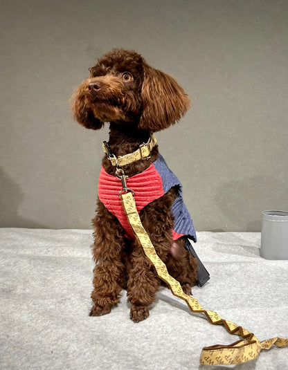ワンプリーツ dog wear 首輪 カラー 大型犬 小型犬